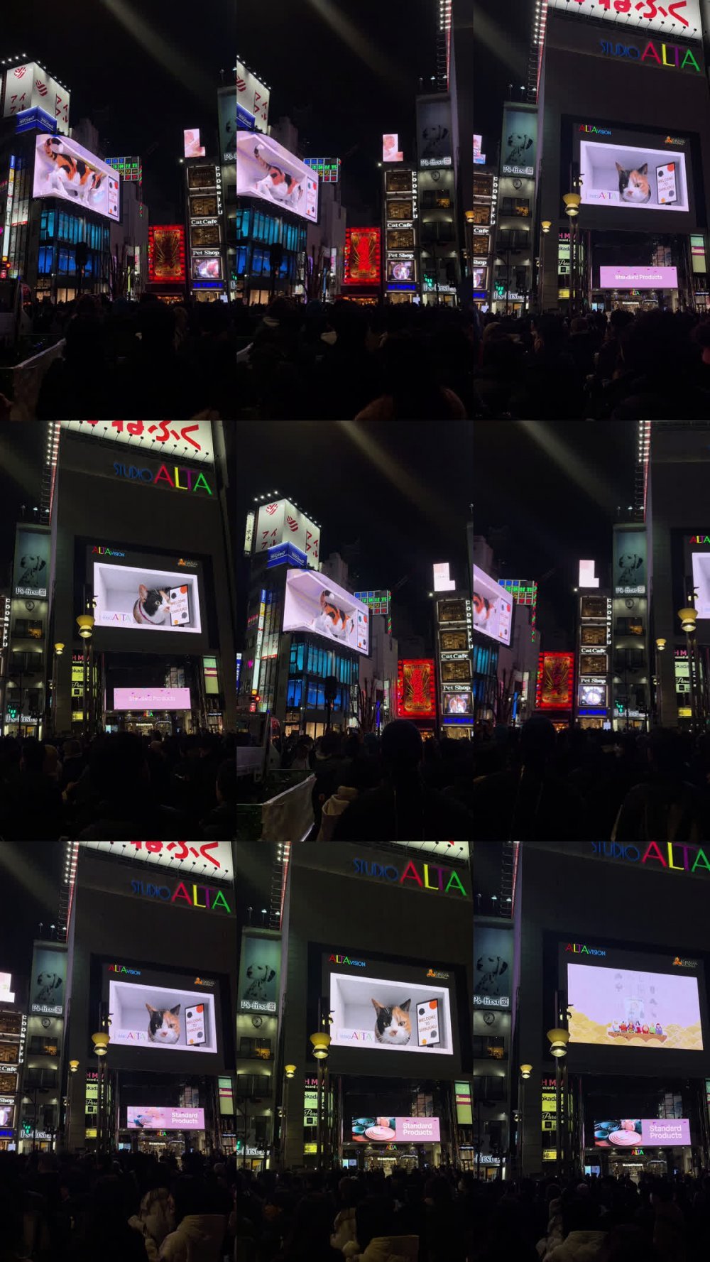 [Cosplay] Candy Ball Rezel [73P12V-0.98GB]