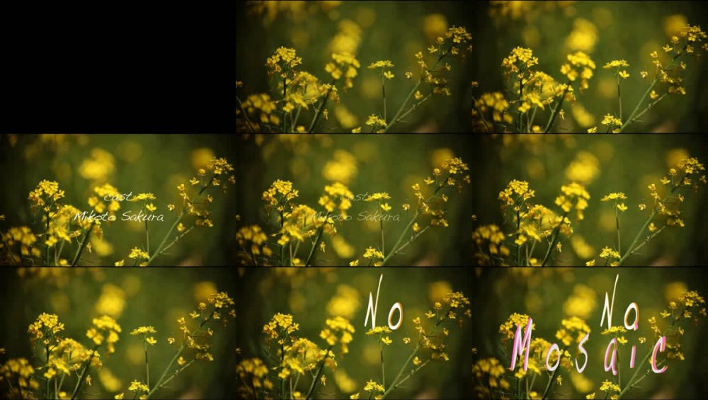 [NMPD-010] Mikoto Sakura 佐倉みこと – NO MOSAIC[AVI/973MB]