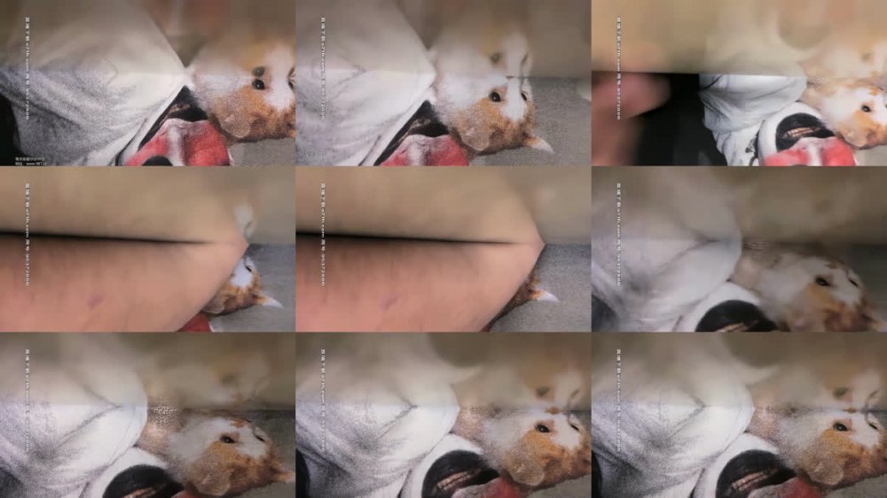 【AI增強】2020-08-16小寶尋花性感長腿極品苗條美乳妹子，舌吻互舔鏡頭前口交後入抽插猛操