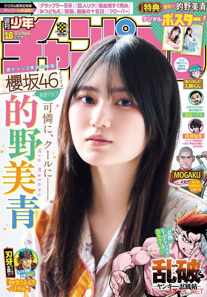 [Shonen Champion] 2026 No.16