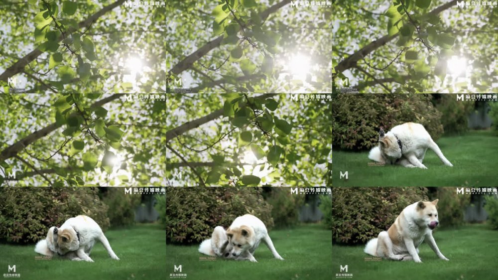 【AI增強】麻豆傳媒【Nana_taipei娜娜】出軌淩辱，手指玩弄肛門調教大屁股~60幀