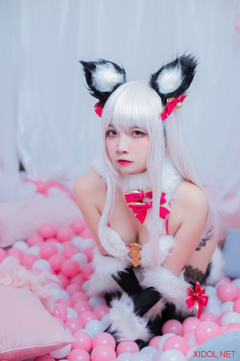 [Cosplay] 二佐Nisa Fate 伊莉雅 野兽 [22P-132MB]