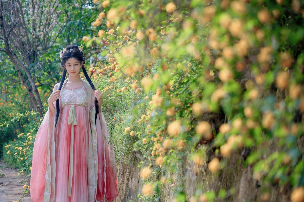 年年古裝 - 海棠仙，粉紅海棠神仙美人[84P]