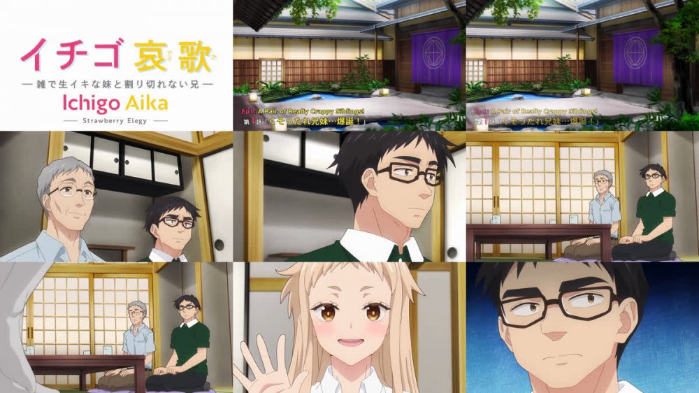 [桜都字幕组] 草莓哀歌~散漫嚣张的妹妹与无法释怀的哥哥~ / Ichigo Aika： Zatsu de Namaiki na Imouto to Warikirenai Ani [01-12 Fin][1080P][简繁内封]