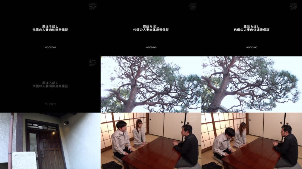 +++ [FHD] NGOD-340 罪ほろぼし 代償の人妻肉体連帯保証 凰華りん