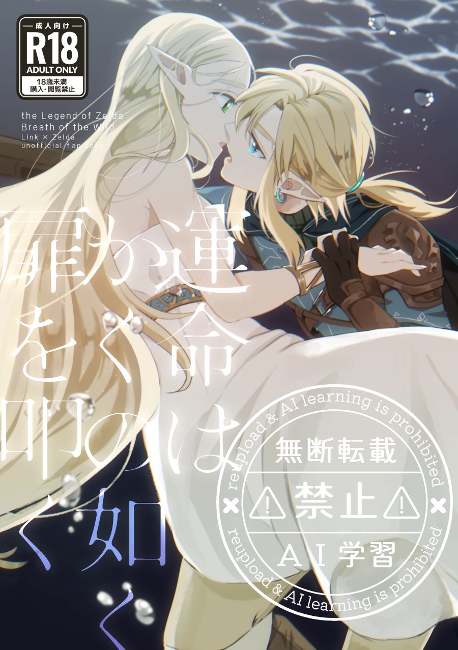 (同人誌) [惚れてまうーやろ (まうー)] 運命はかくの如く扉を叩く (ゼルダの伝説 ティアーズ オブ ザ キングダム) [DL版]